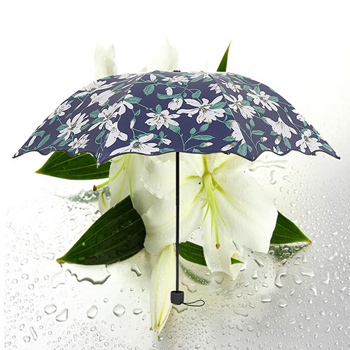 黑胶百合花雨伞 防紫外线折叠伞